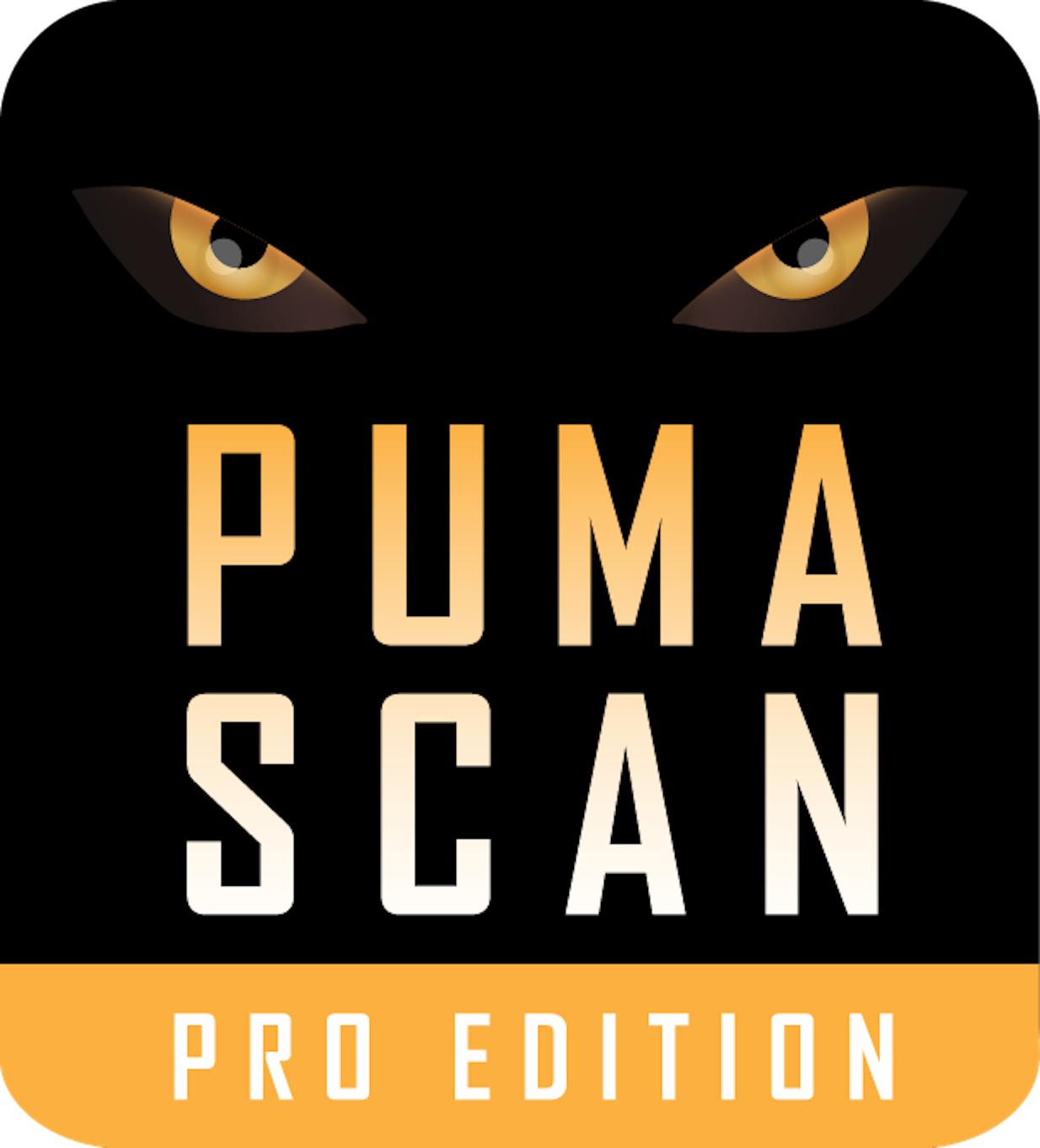 Puma Scan Professional