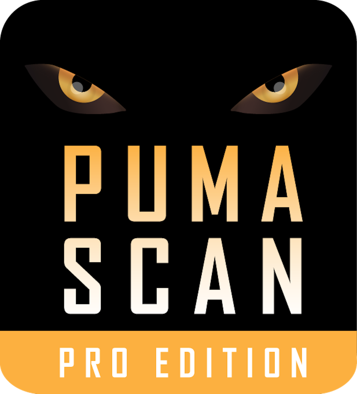 Puma Scan Professional 2022